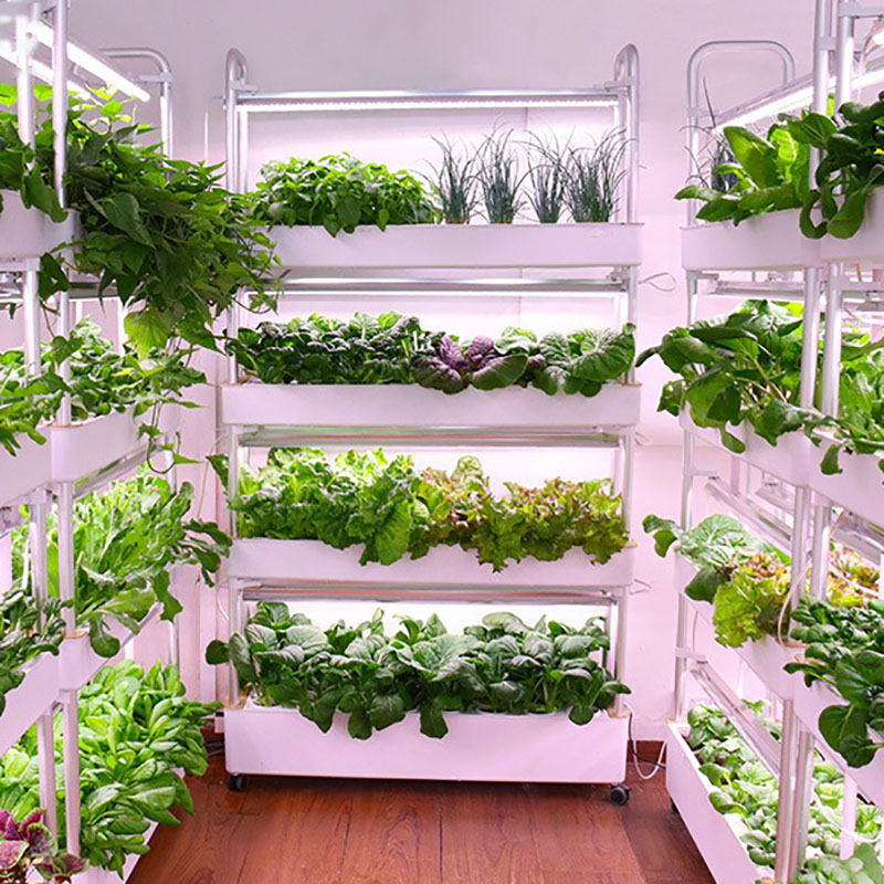 Smart Garden Vertical Planter - Hydrokultur-Anbausystem, vertikal, intelligent, für den Innenbereich,