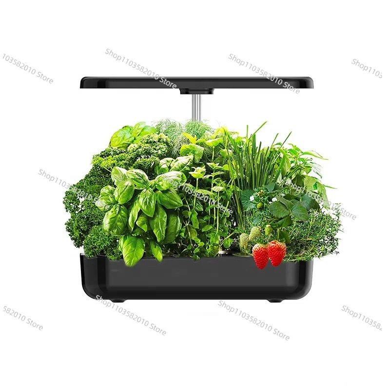 Indoor Herb Garden Kit - Selbstbewässerndes Kräutergarten-Set, Desktop-Hydroponik-Pflanzensystem & Intelligentes Indoor-Blumentopf-Set