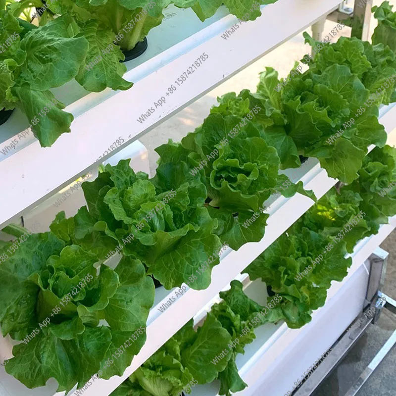 S Hydroponics Growing System G – Smart Garden Vertical Planter Bewertung und Preis