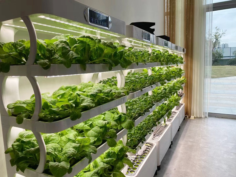 und vertikales Gewächshaus, ko – Smart Garden Vertical Planter Bewertung und Preis