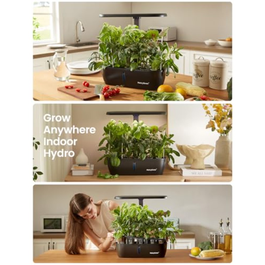 MG-15 Hydroponisches Anzuchtsy – Indoor Herb Garden Kit Bewertung und Preis