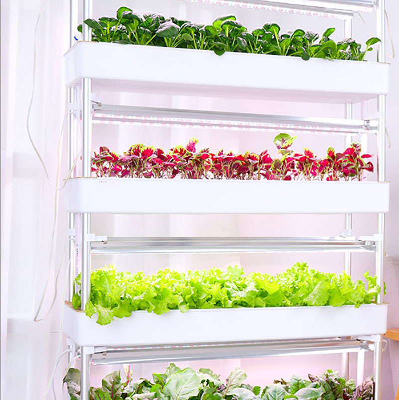 Hydrokultur-Anbausystem, verti – Smart Garden Vertical Planter Bewertung und Preis