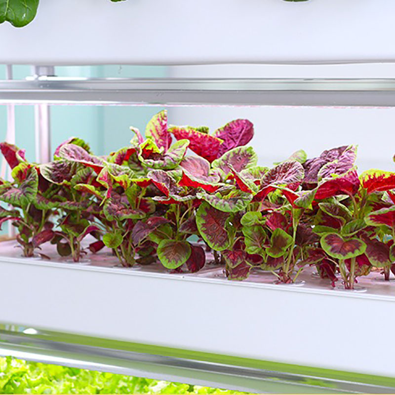 Hydrokultur-Anbausystem, verti – Smart Garden Vertical Planter Bewertung und Preis