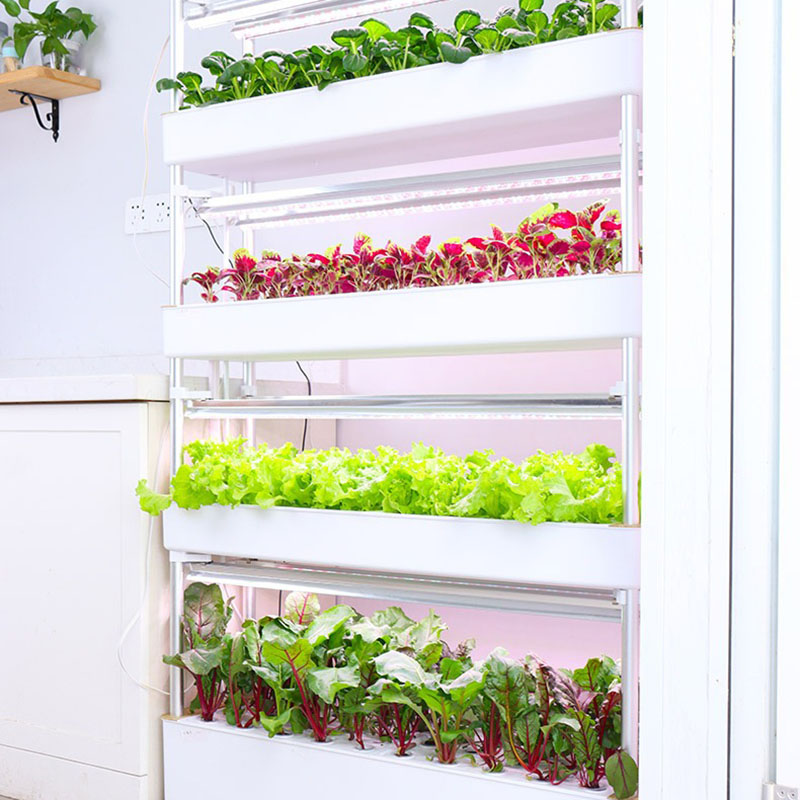 Hydrokultur-Anbausystem, verti – Smart Garden Vertical Planter Bewertung und Preis