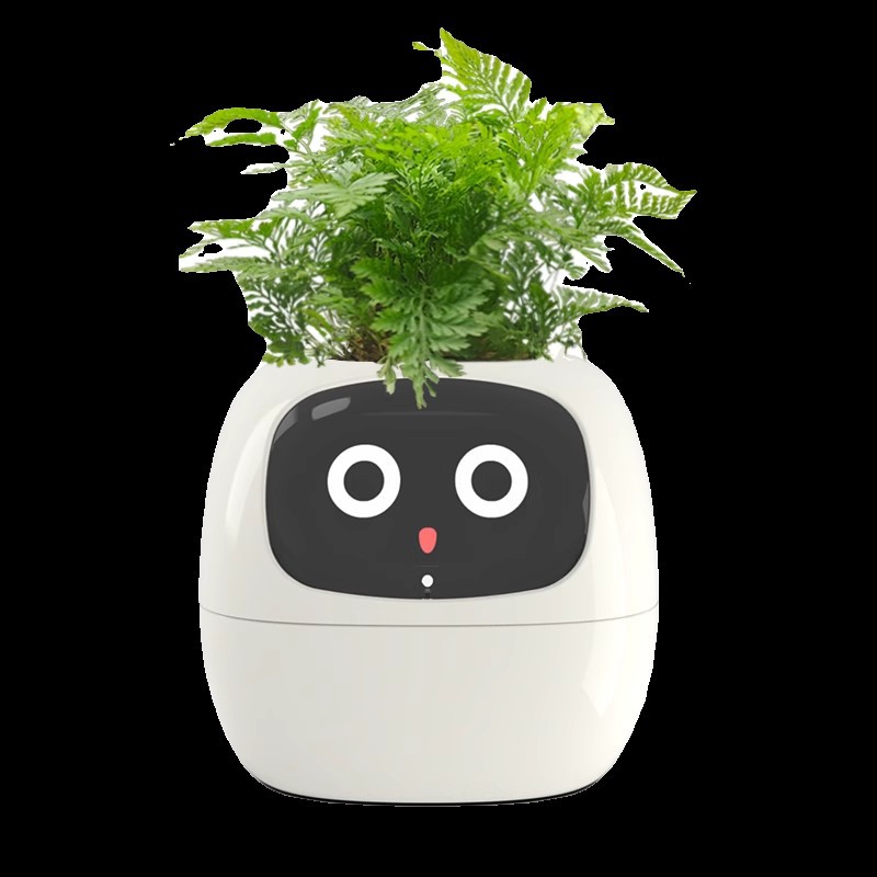Sensor Smart Mimi Blumentopf m – Self Watering Pot Sensor Bewertung und Preis