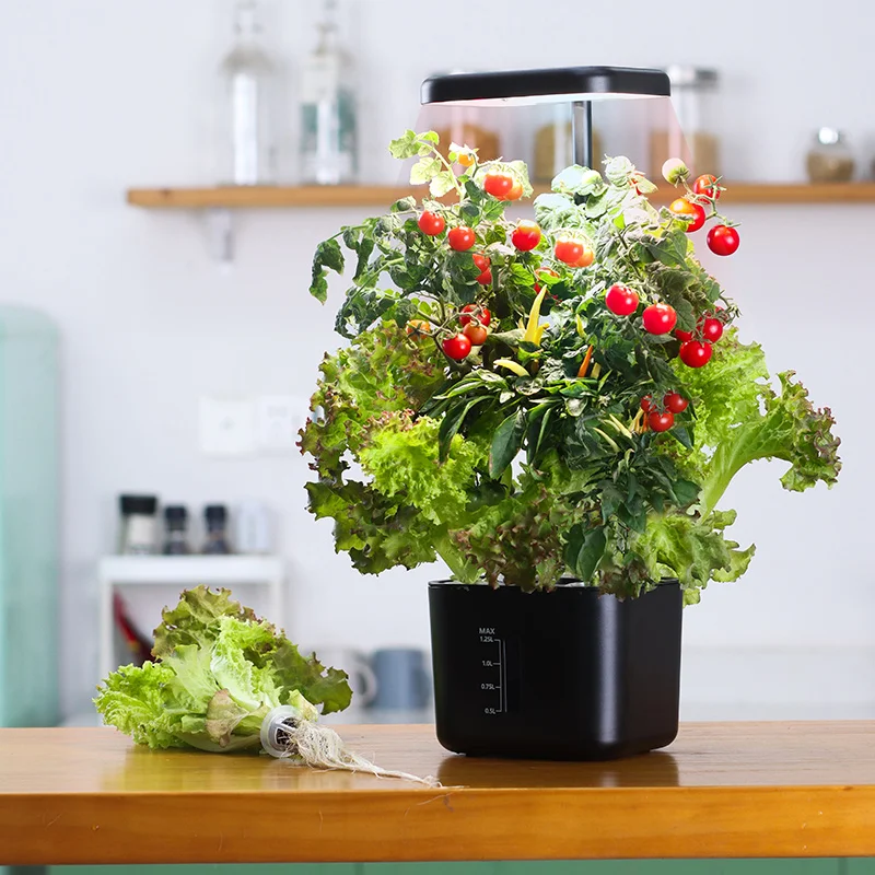 Wachstumssystem für den Inneng – Indoor Herb Garden Kit Bewertung und Preis