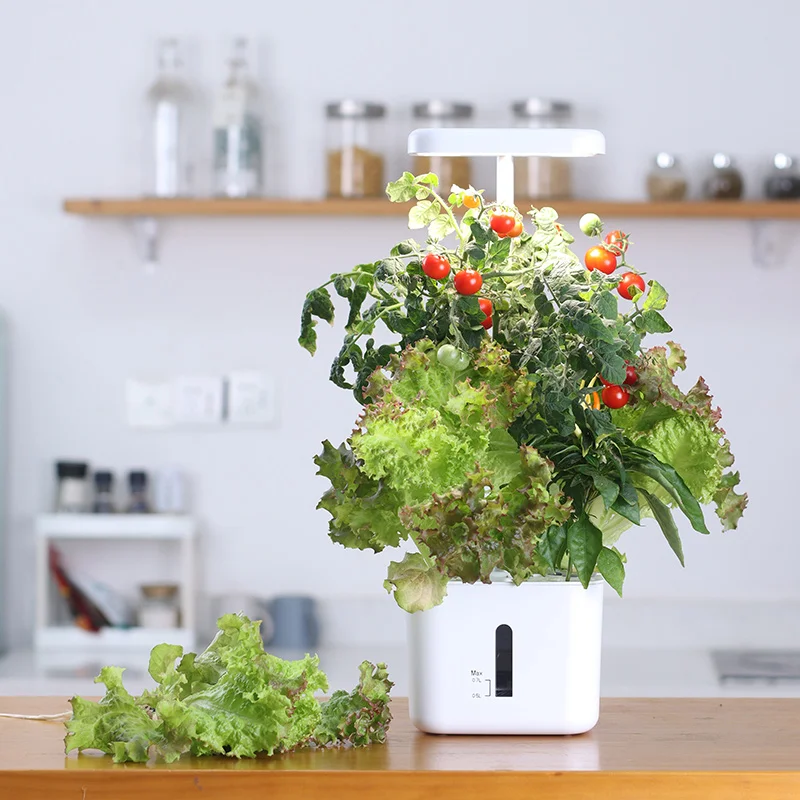 Wachstumssystem für den Inneng – Indoor Herb Garden Kit Bewertung und Preis