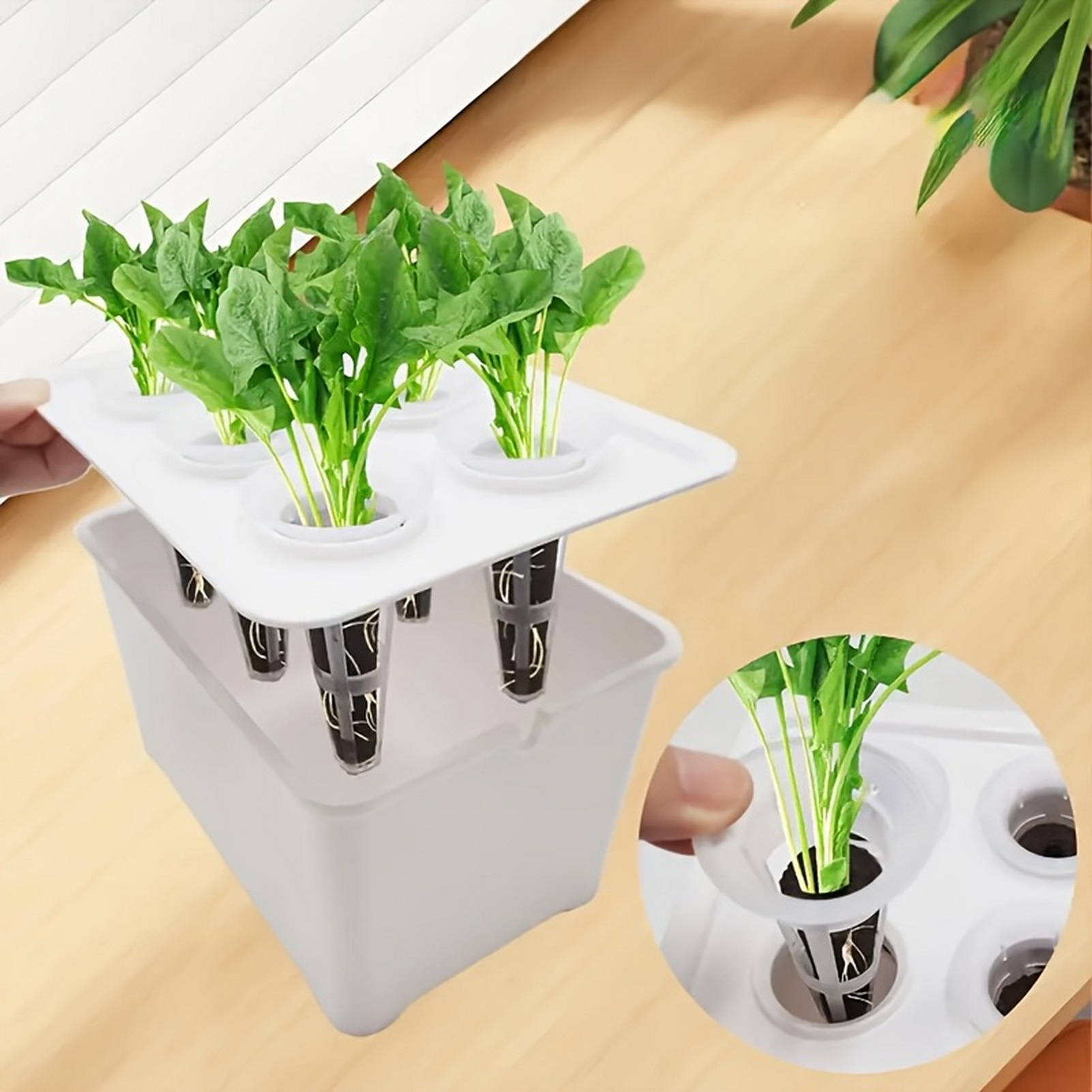 6-in-1 Hydroponische Anzuchttö – Indoor Herb Garden Kit Bewertung und Preis