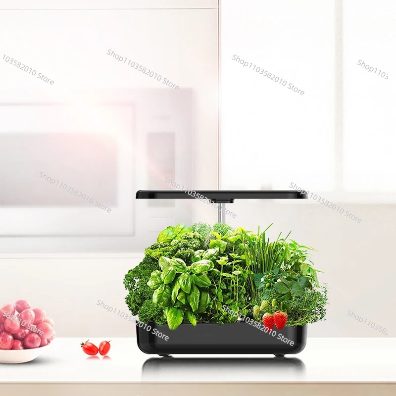 Selbstbewässerndes Kräutergart – Indoor Herb Garden Kit Bewertung und Preis