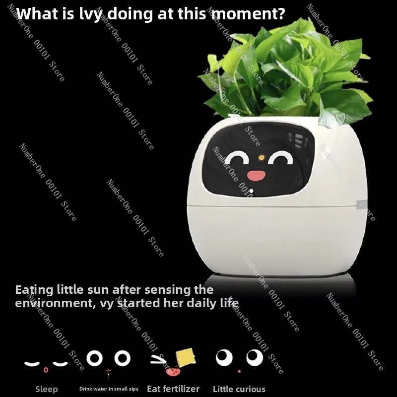 USB-Aufladbarer Selbstbewässer – Self Watering Pot Sensor Bewertung und Preis
