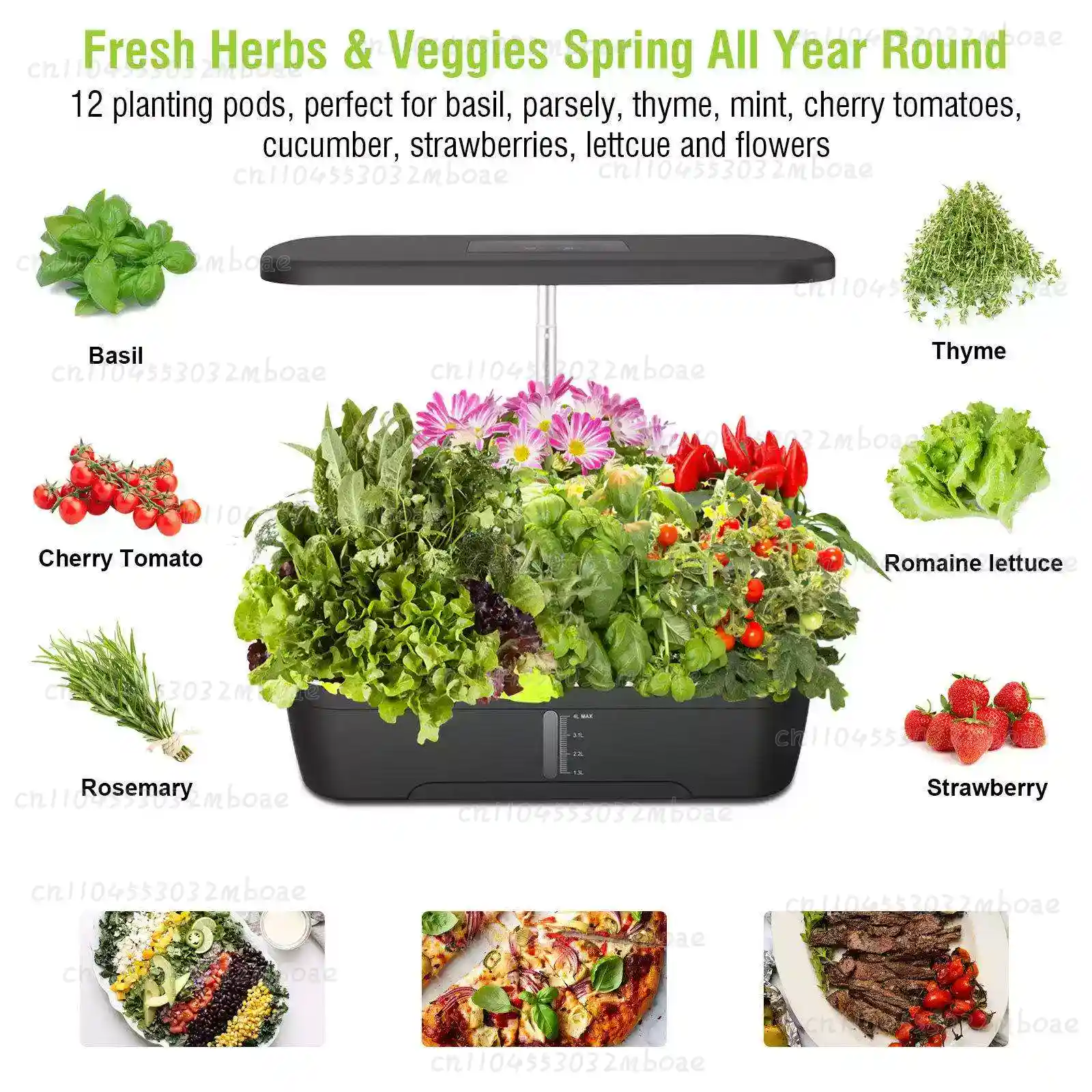 12-Pods Hydroponisches Anzucht – Indoor Herb Garden Kit Bewertung und Preis